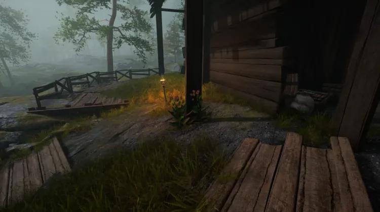 Racine de bardane (3x)