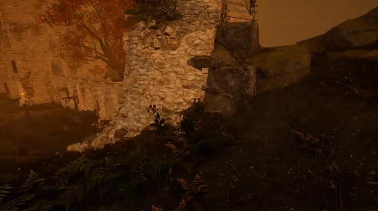 Racine de bardane (5x)