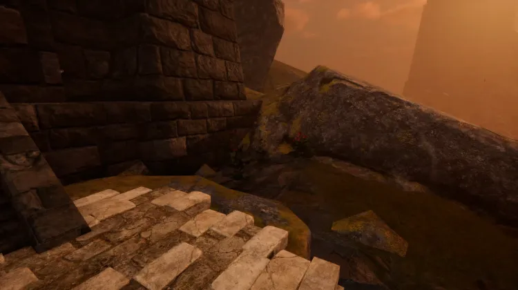 Racine de bardane (5x)