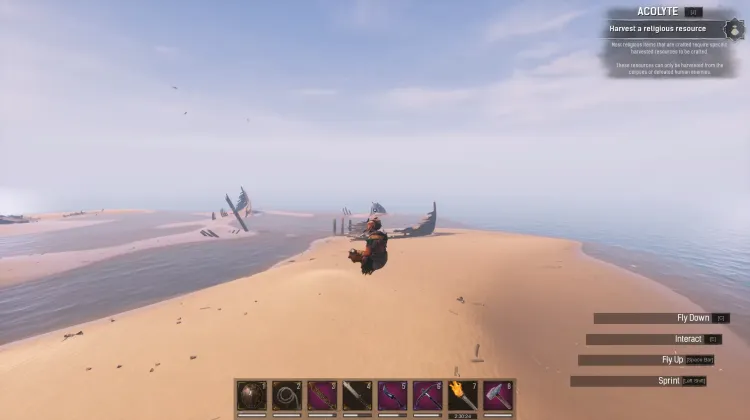 Wybrzeże Padlinożerców