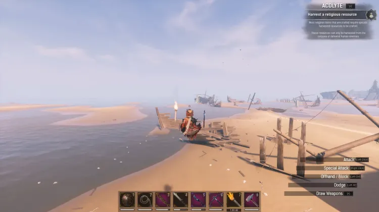 Wybrzeże Padlinożerców