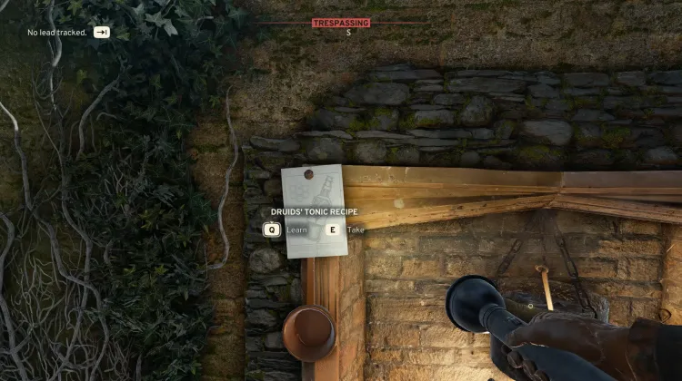 Druiden-Tonikum Rezept