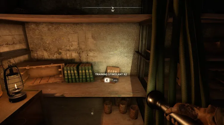 Stimolante di Allenamento x2