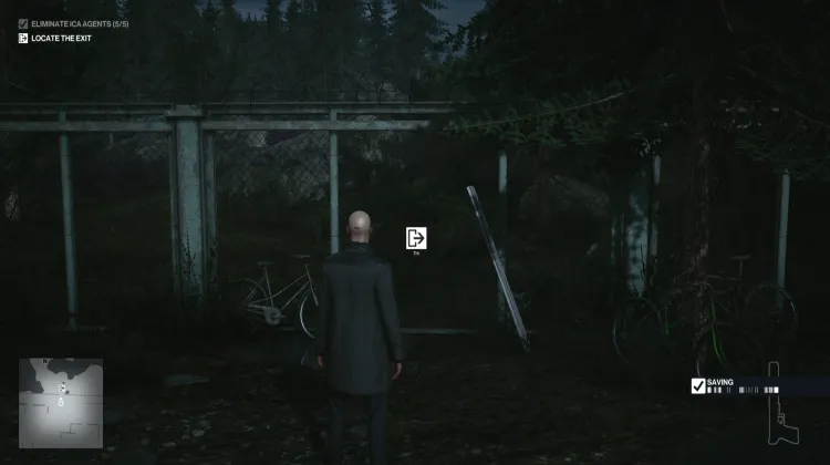 Into the Forest