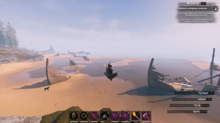 Wybrzeże Padlinożerców