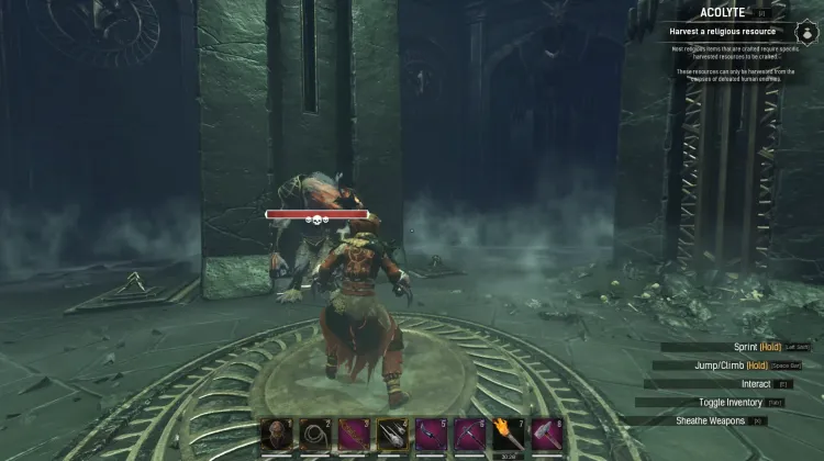 Champion Hurleur Dégénéré