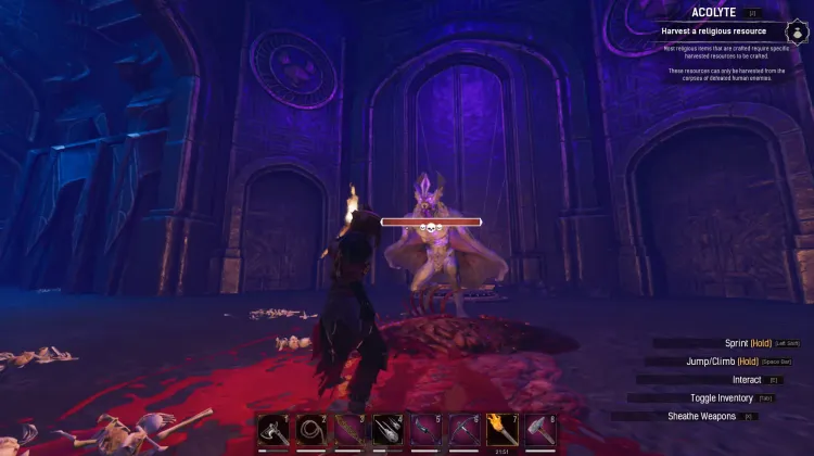 Chauve-souris démon championne