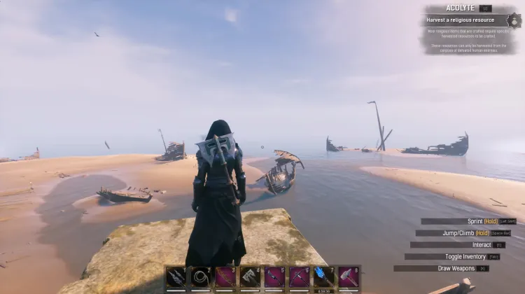 Wybrzeże Padlinożerców