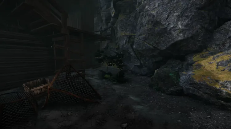 Filet du Diable (2x)