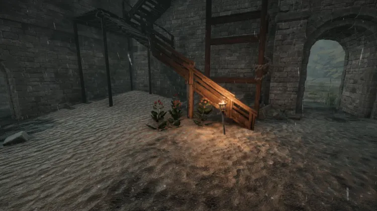 Racine de bardane (5x)