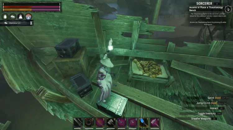 Black Corsair Outfit