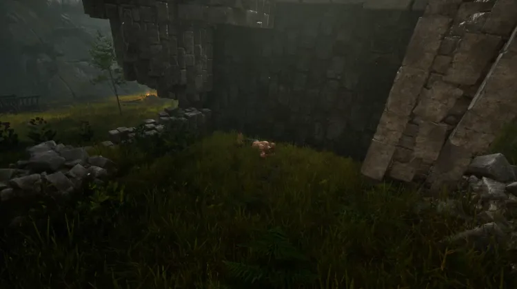 Charbon de Belladone