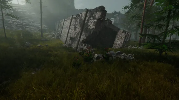 Racine de bardane (5x)