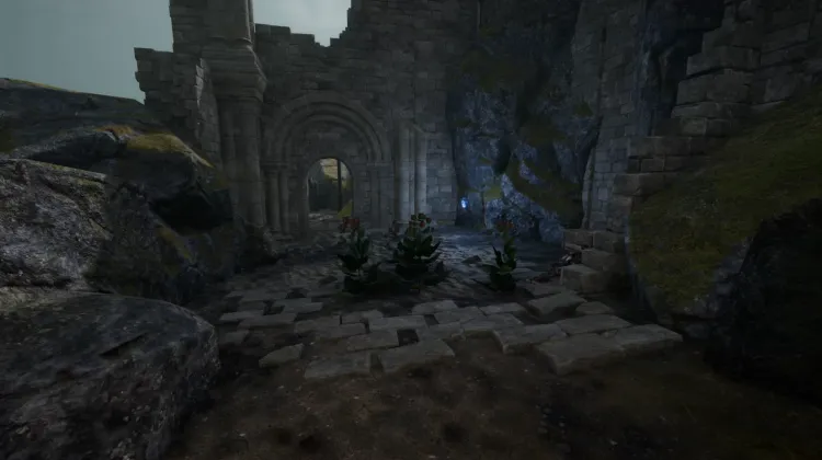 Racine de bardane (5x)