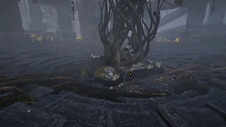 Orbes de Recul et de Vortex