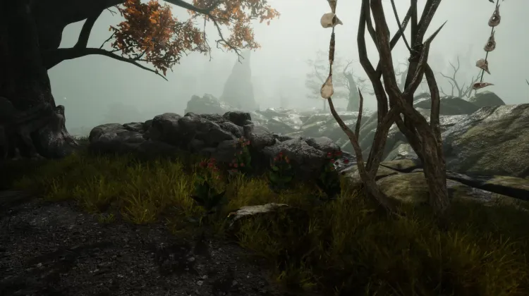 Racine de bardane (5x)