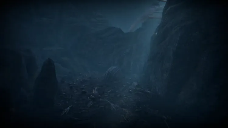 Œuf de Bête Quêteuse