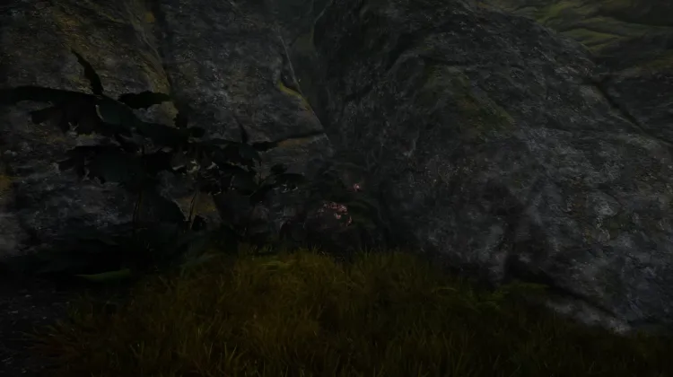 Piège du Diable (5x)