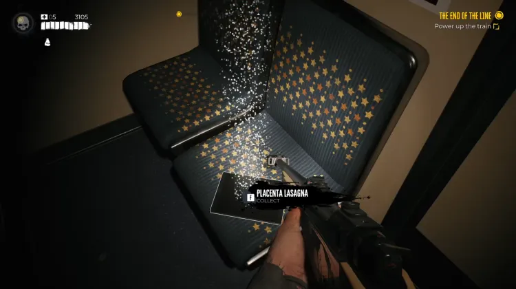 #10 Placenta Lasagna