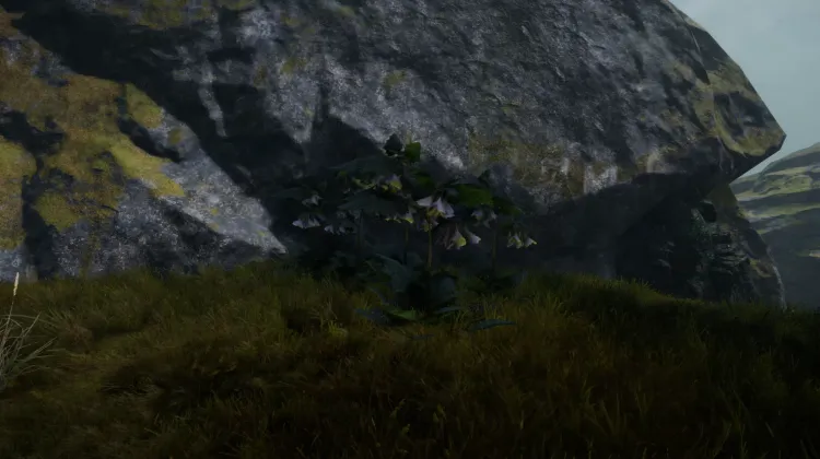 Piège du Diable (5x)