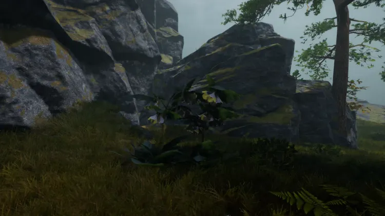 Piège du Diable (3x)