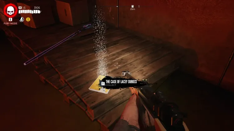 #12 The Case of Lacey Dubois