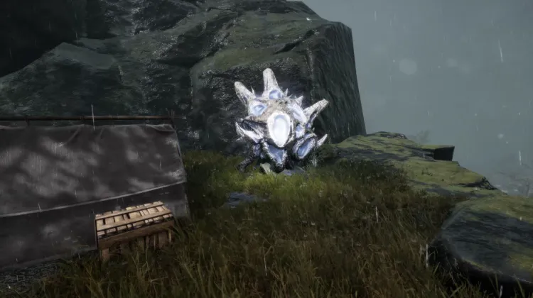 Toile d'Araignée Éthérée