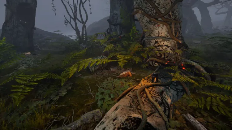 Coffre Enterré (2x)