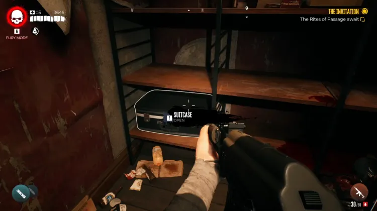 Wardrobe and Suitcase