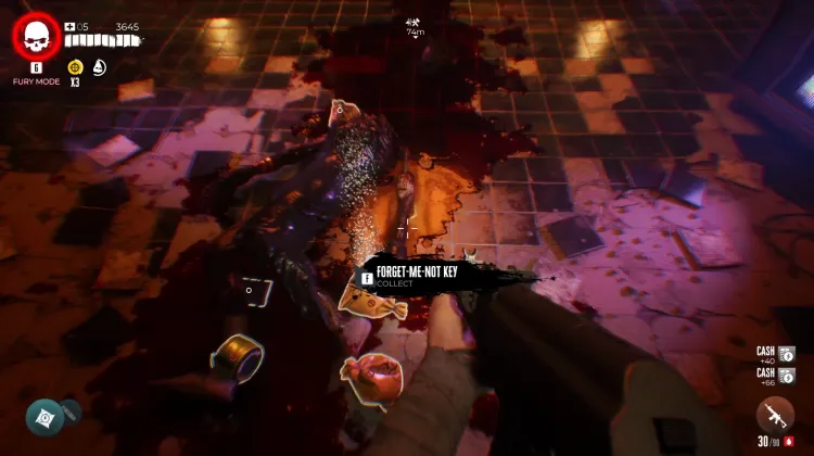 Vergissmeinnicht-Schlüssel