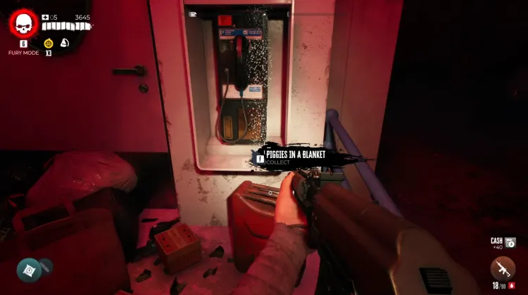 #7 Maialini nella Coperta