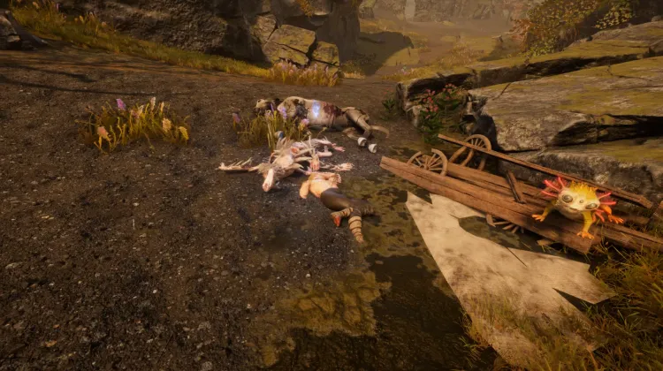 Carícia da Natureza