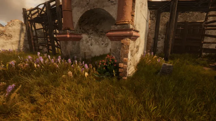 Raiz de Bardana (3x)