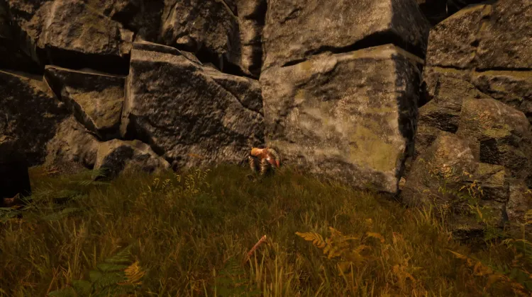 Couro Cabeludo do Desertor