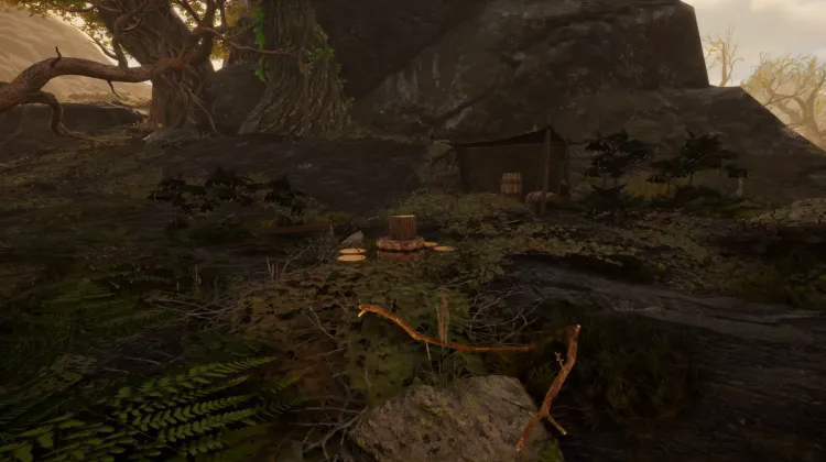 Local de Extração de Madeira