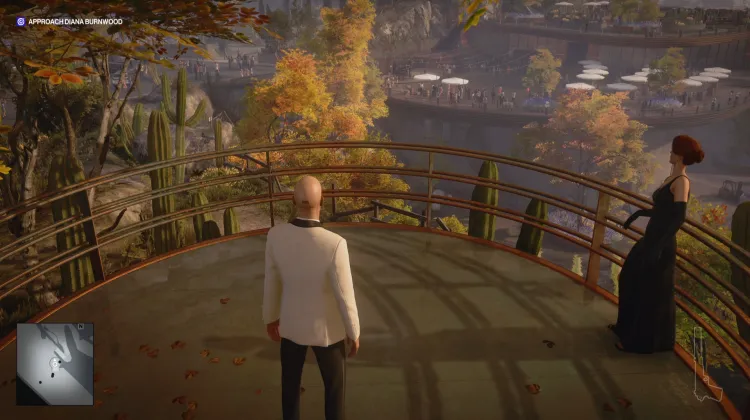 Viewing Platform