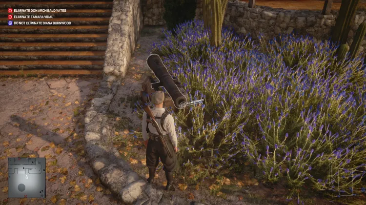 Antique Cannon