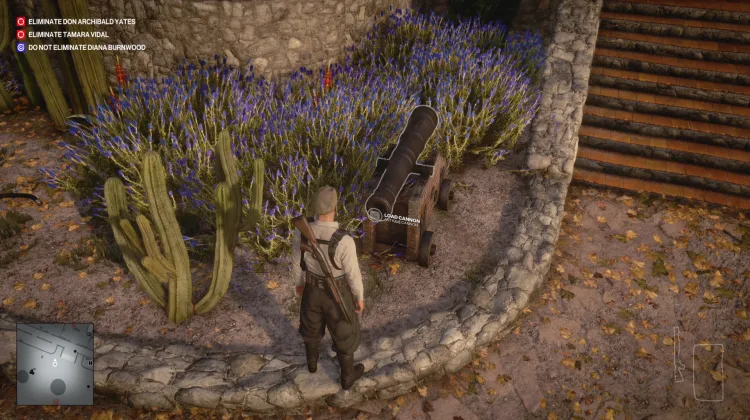 Antique Cannon