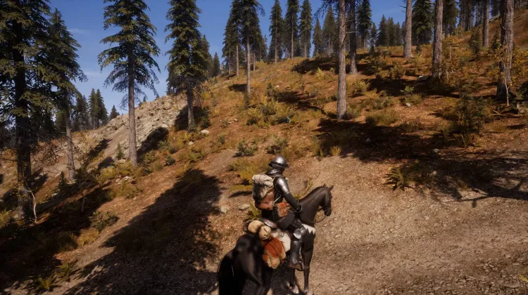 Beyaz Kuyruklu Kartal