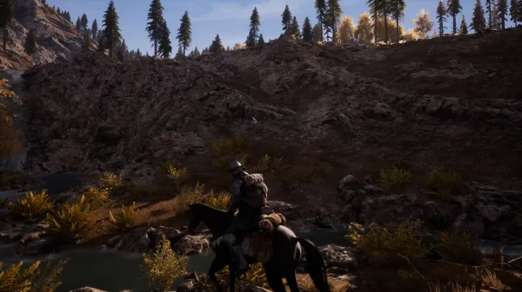 Beyaz Kuyruklu Kartal