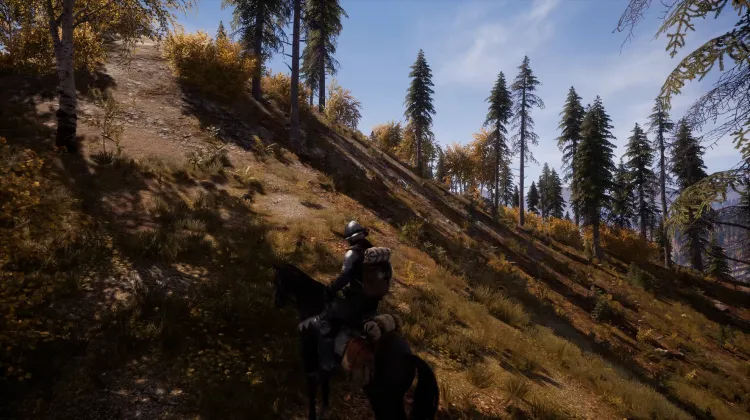 Beyaz Kuyruklu Kartal