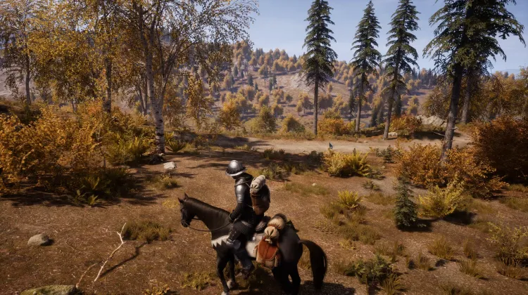 Beyaz Kuyruklu Kartal