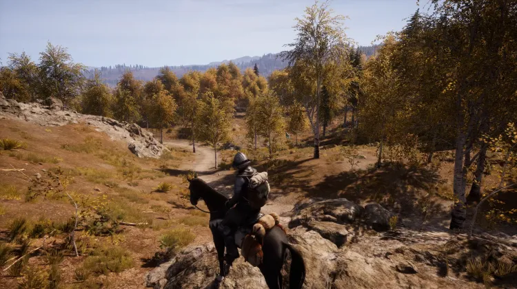 Beyaz Kuyruklu Kartal