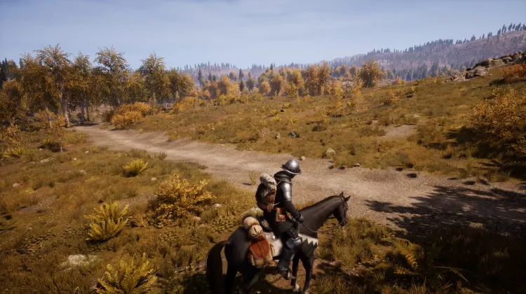 Beyaz Kuyruklu Kartal