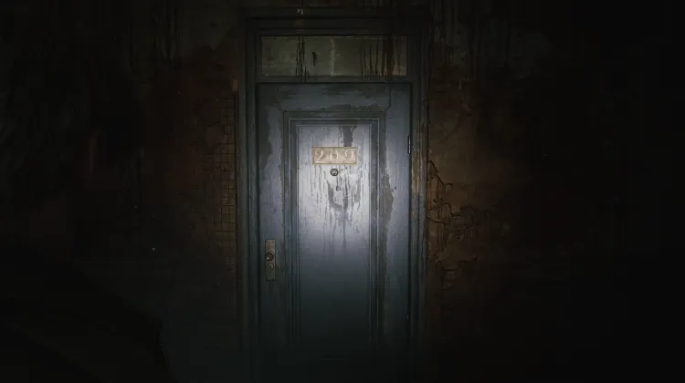 Porta Appartamento 209