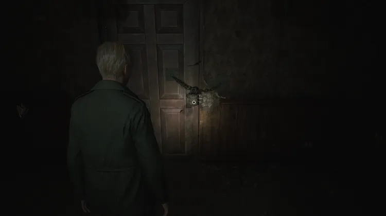 Apartment 202 Moth Puzzle Door