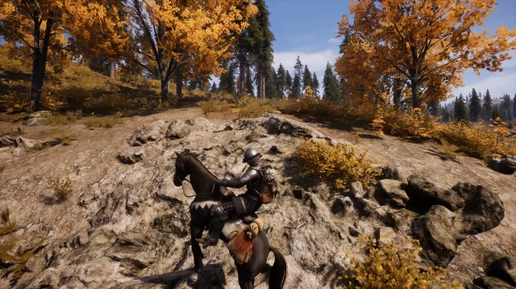 Beyaz Kuyruklu Kartal