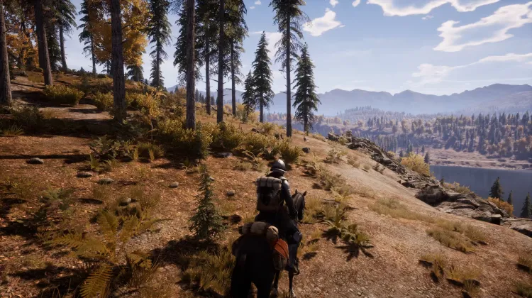 Beyaz Kuyruklu Kartal