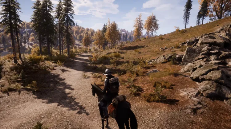 Beyaz Kuyruklu Kartal