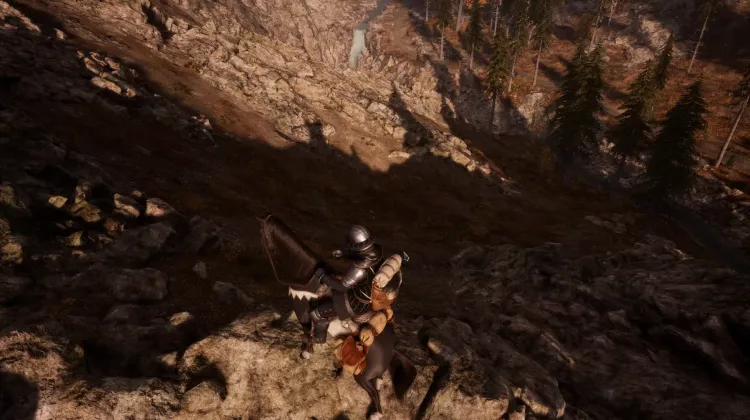 Beyaz Kuyruklu Kartal